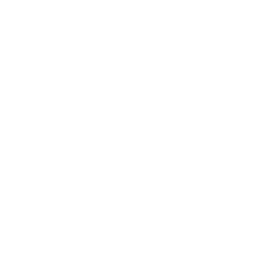 PROFESSIONAL ICON