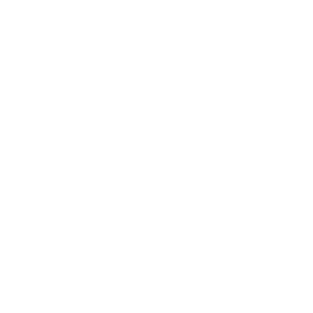 TRANSPARENCY ICON